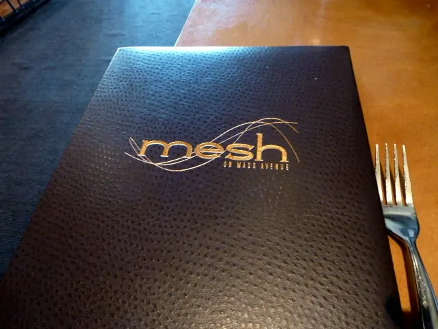 mesh 2