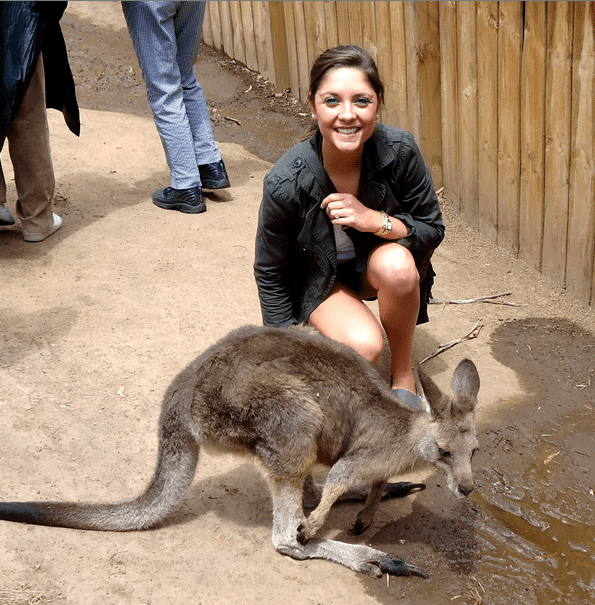 australia cruise kangaroo