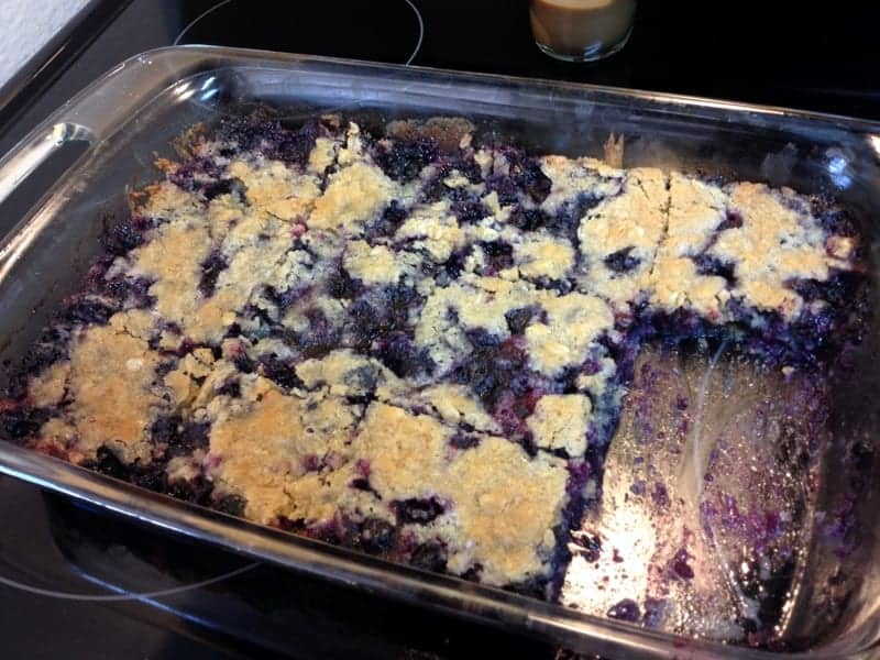 blueberry madness bars