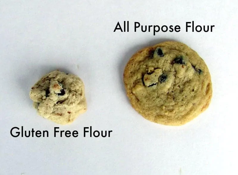 Gluten Free Flour vs All Purpose Flour