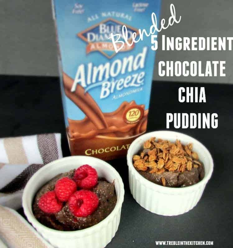 Blended 5 Ingredient Chocolate Chia Pudding via Treble in the Kitchen