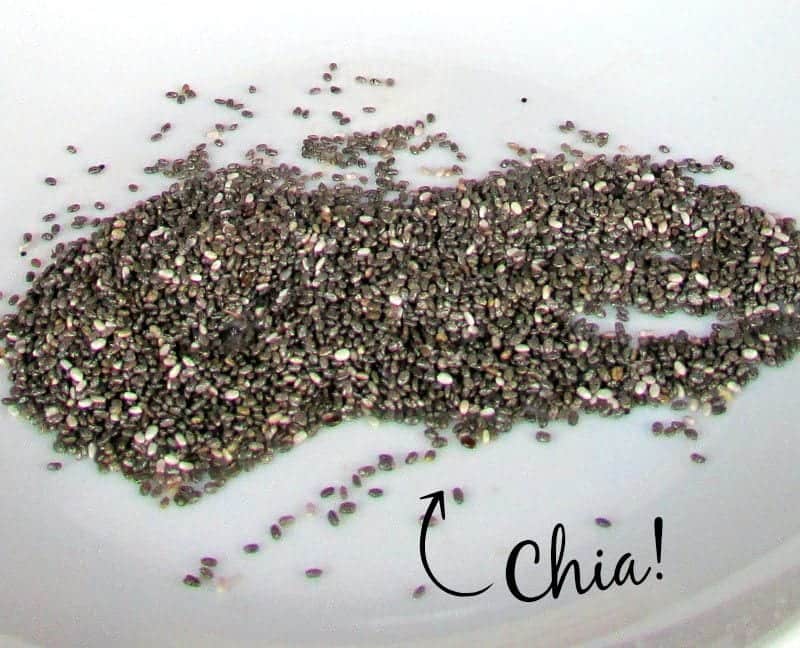 Chia Seeds via Treble in the Kitchen