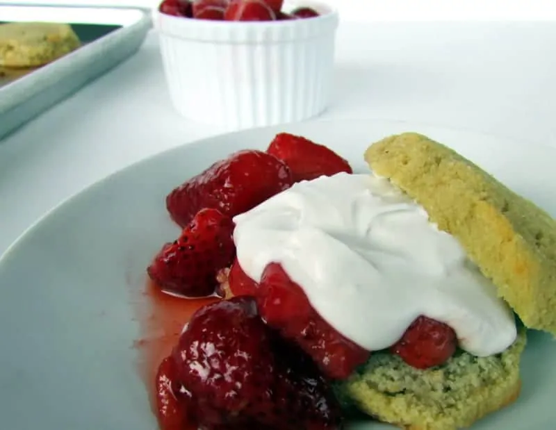 low FODMAP Strawberry Shortcake from Treble in the Kitchen