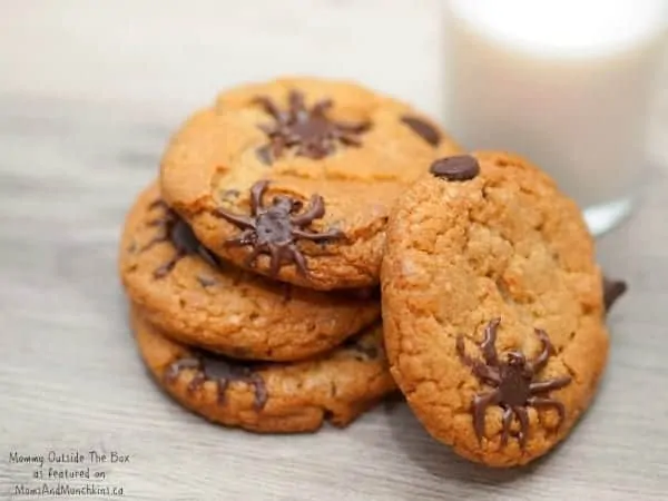 chocolate-chip-spider-cookie-5