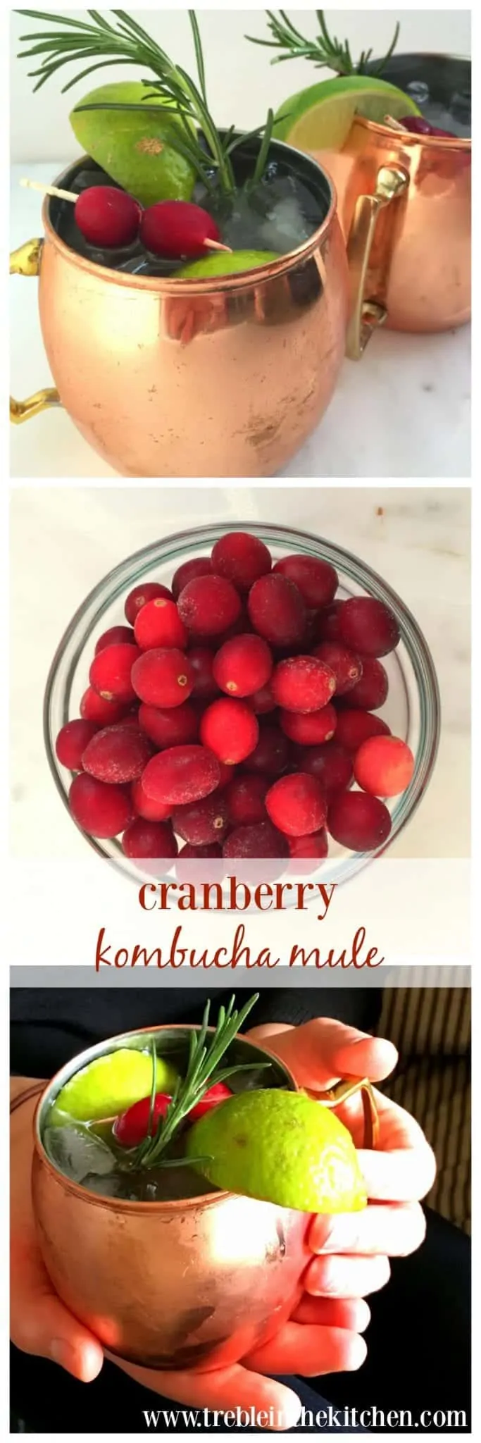 Cranberry Kombucha Mule from Treble in the Kitchen