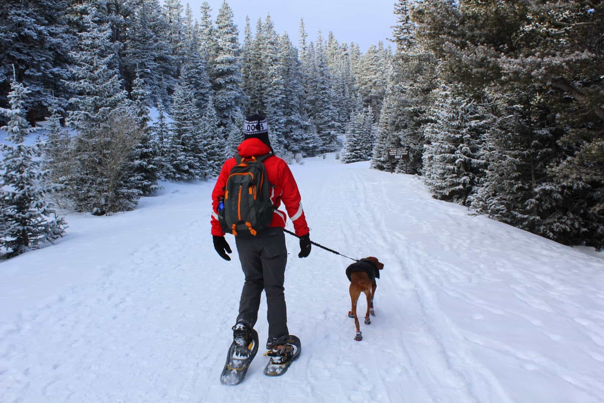 Snowshoeing at Brainard Lake from Treble in the Kitchen