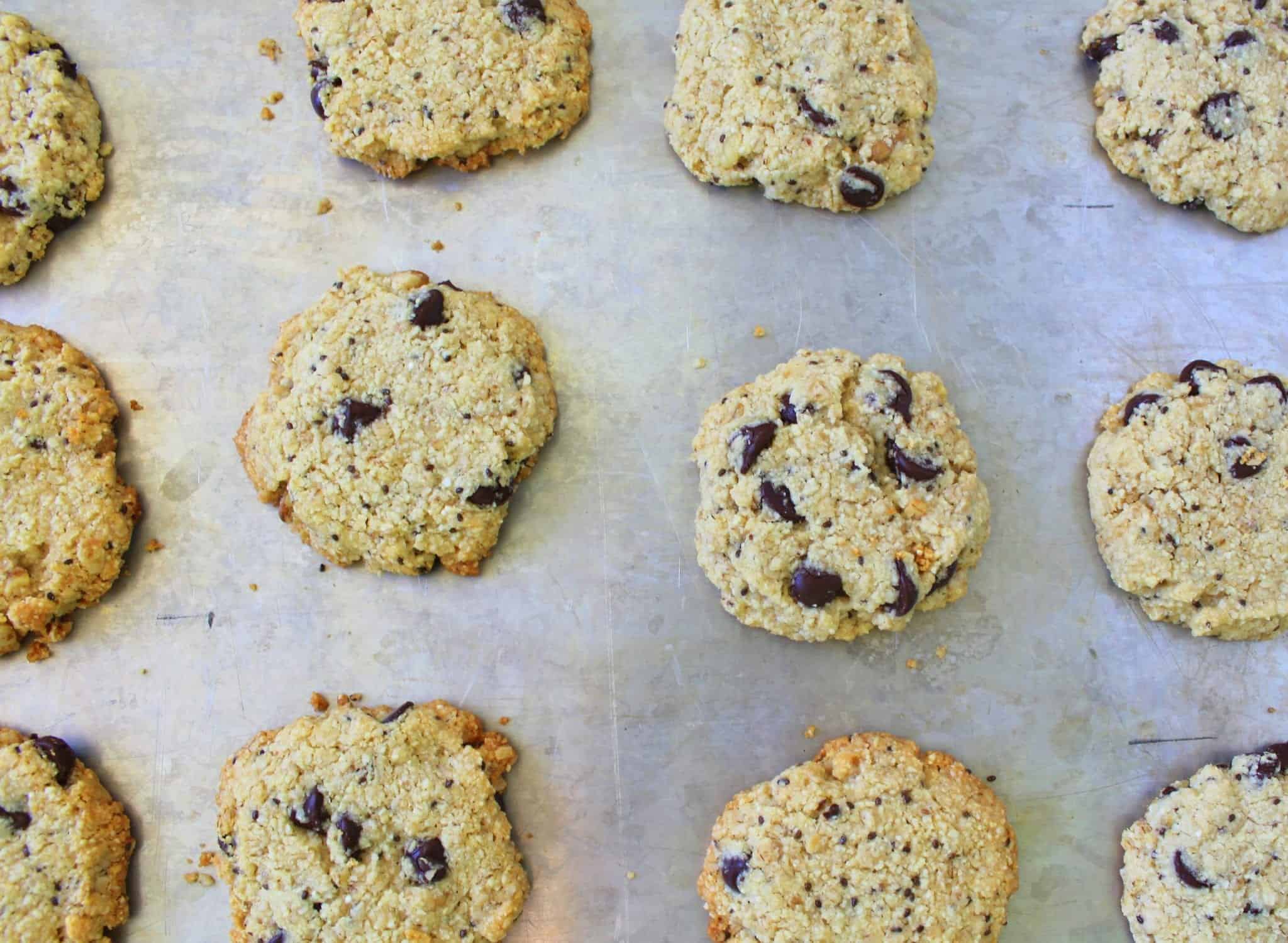 Super Oats Cookies from Treble in the Kitchen
