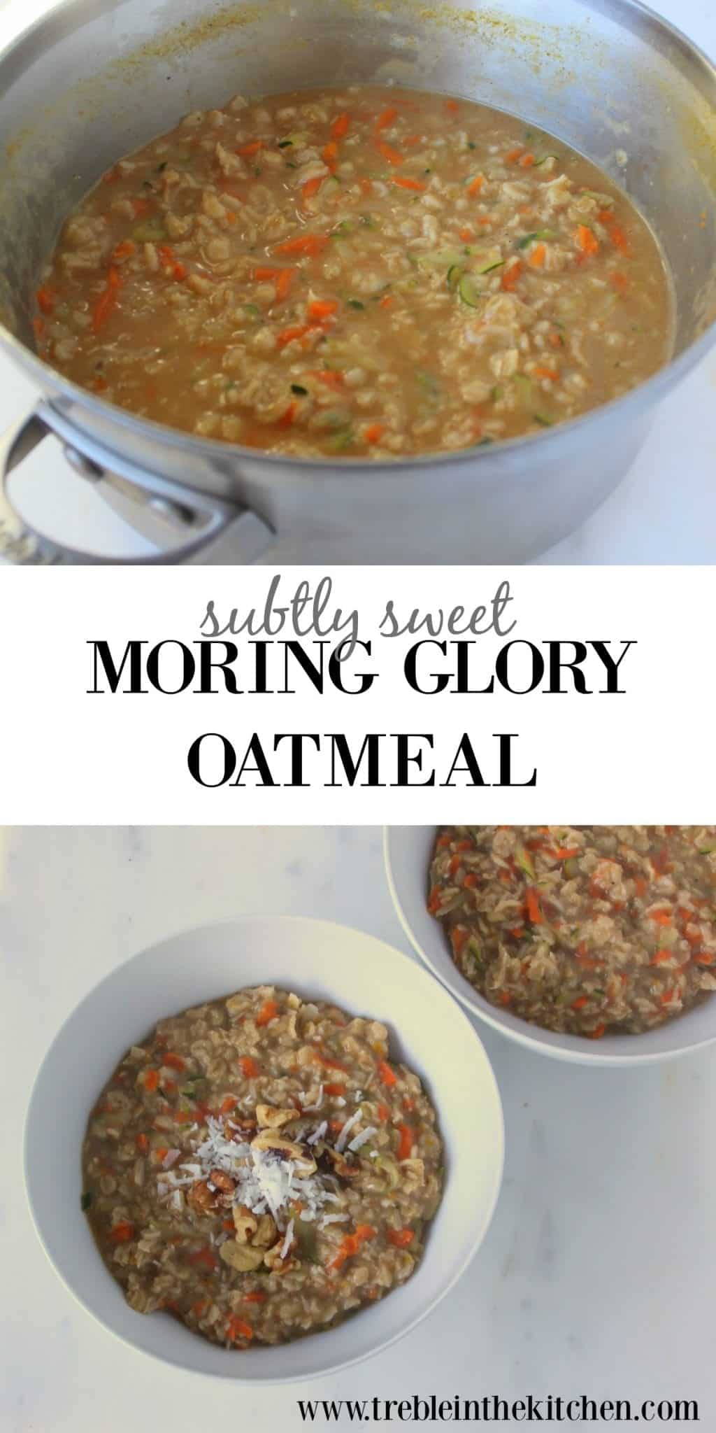 Subtly Sweet Morning Glory Oatmeal from Treble in the Kitchen