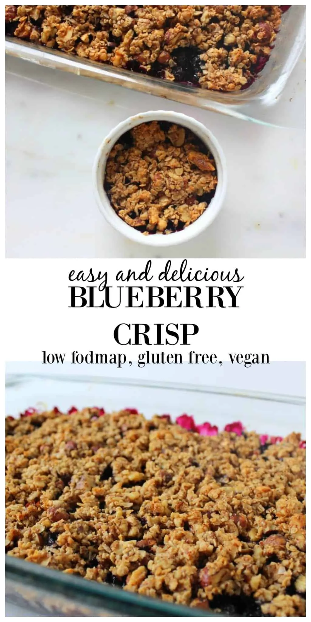 Easy and Delicious Blueberry Crisp from Treble in the Kitchen