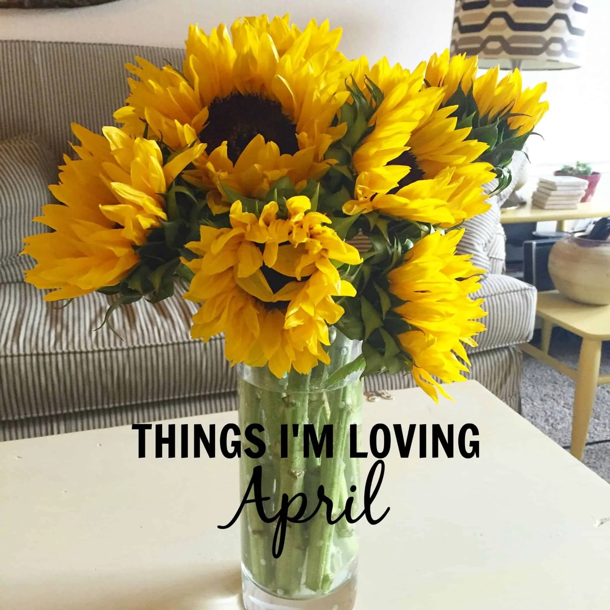 Things I'm Loving April 2016 from Treble in the Kitchen