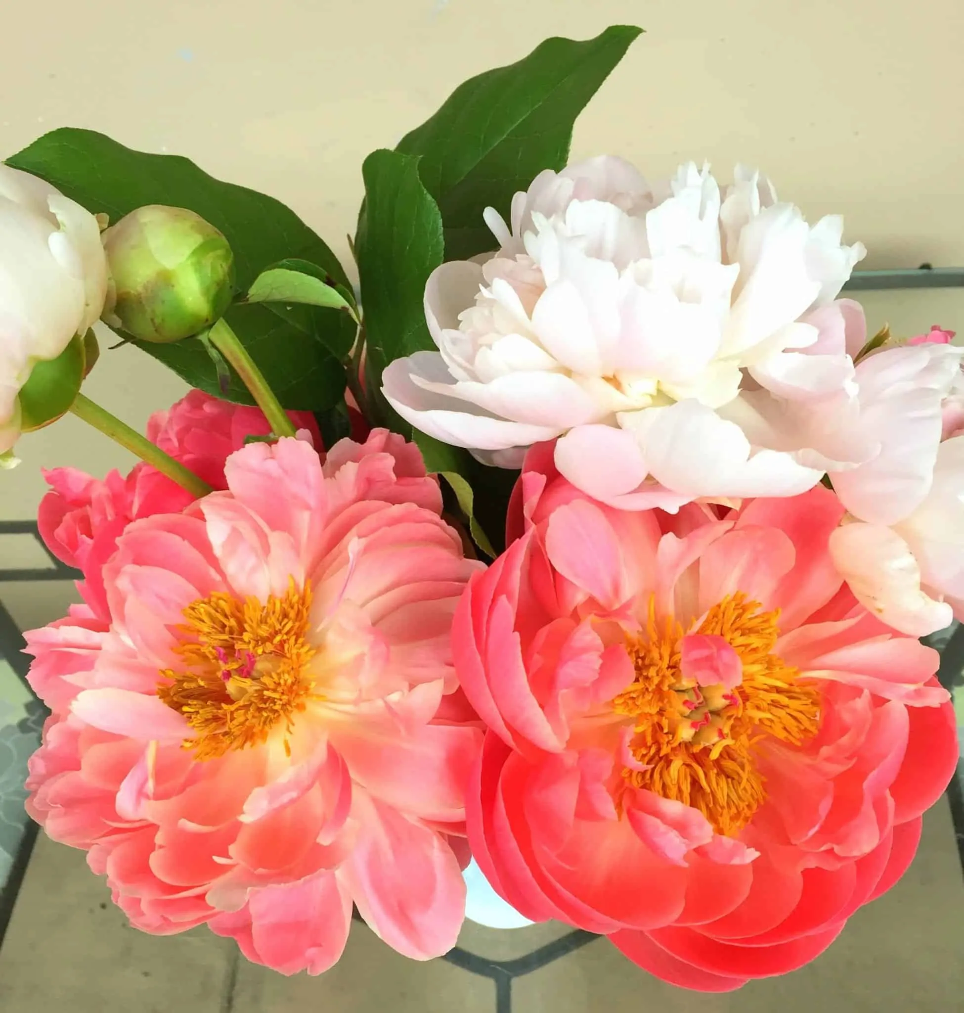 Peony from Treble in the Kitchen