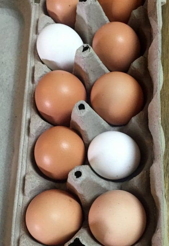 Corner Post Eggs
