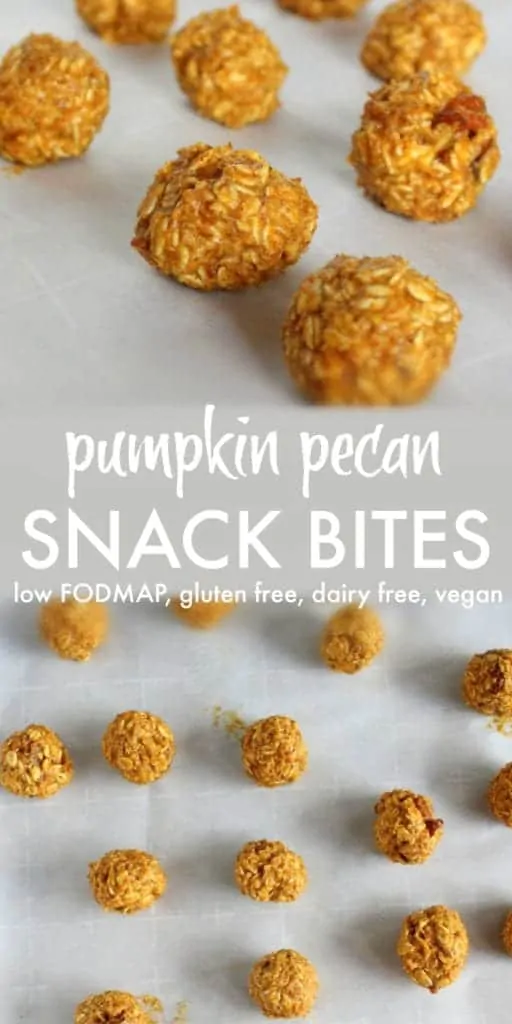 Pumpkin Pecan Snack Bites from Treble in the Kitchen low FODMAP, gluten free, dairy free, vegan