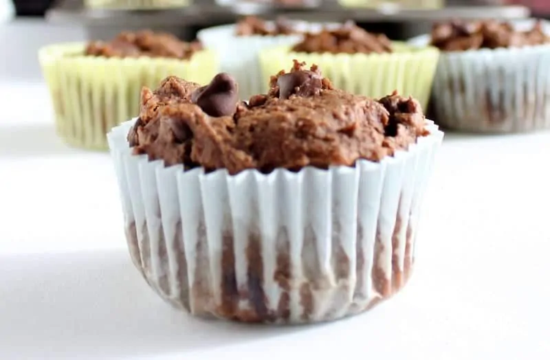 Double Chocolate Muffins low FODMAP, gluten free, dairy free, hidden veggie