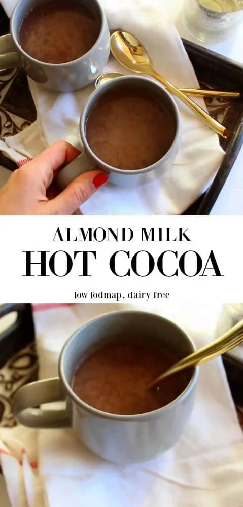 Hot Cocoa - low FODMAP, gluten free, dairy free