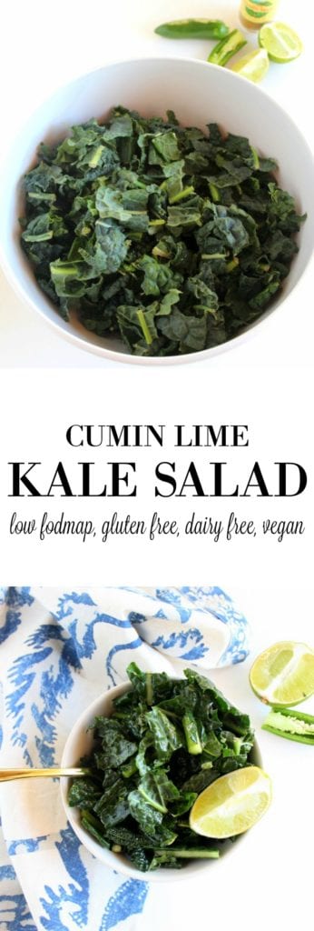 Kale Salad - vegan, low FODMAP, paleo, dairy free, gluten free