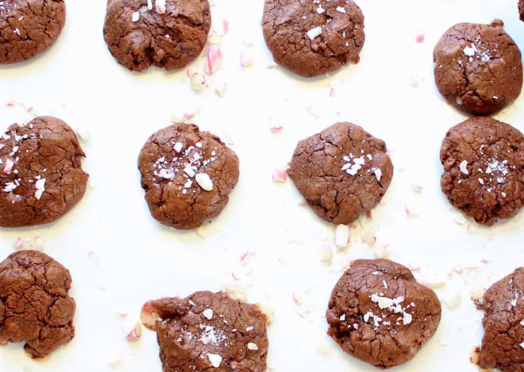 low FODMAP Peppermint Cocoa Cookies - gluten free, lactose free