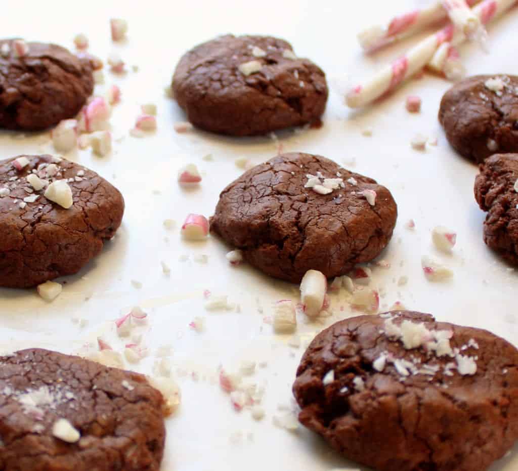 low FODMAP Peppermint Cocoa Cookies - gluten free, lactose free